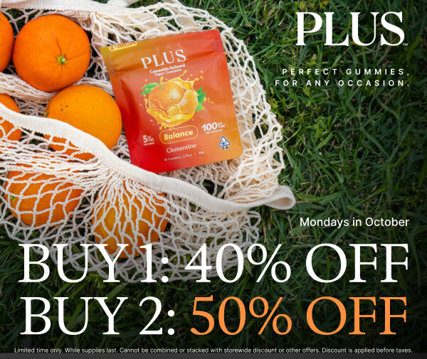PLUS Monday